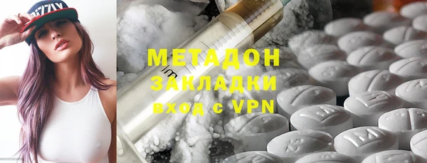 прущие грибы Корсаков