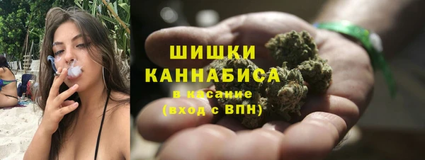 прущие грибы Корсаков