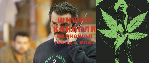 прущие грибы Корсаков