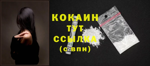 прущие грибы Корсаков
