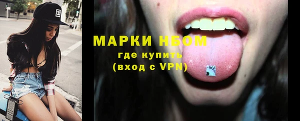 прущие грибы Корсаков
