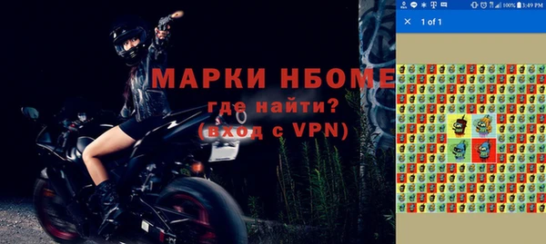 прущие грибы Корсаков
