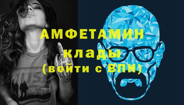 прущие грибы Корсаков