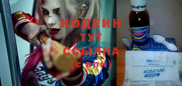 прущие грибы Корсаков
