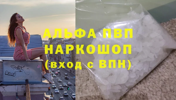 прущие грибы Корсаков