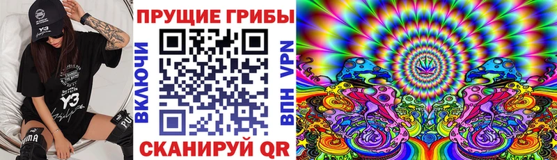 Псилоцибиновые грибы мицелий  Купить закладки  Сясьстрой 