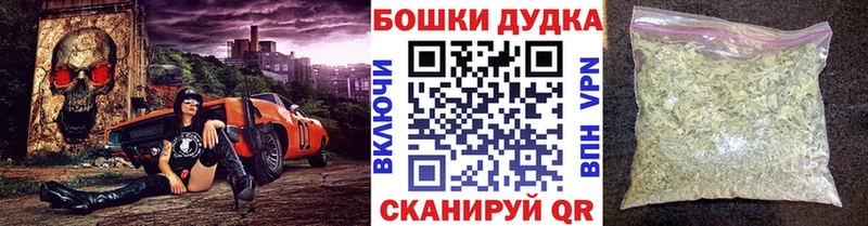 Купить закладки  Сясьстрой  Конопля тримм 